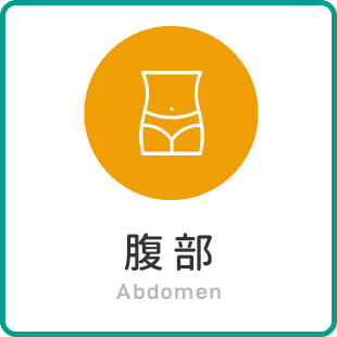 腹部 Abdomen