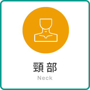 頸部 Neck